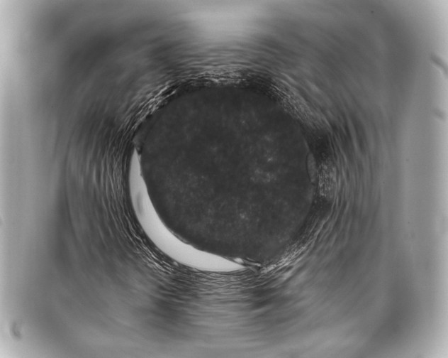 X0000098081298200804181148