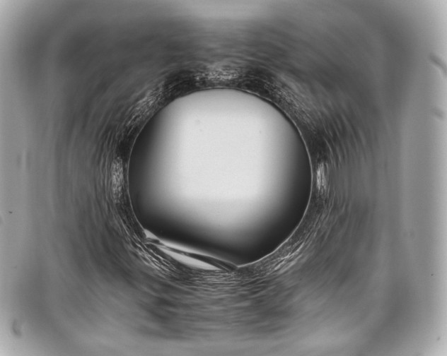 X0000098081299200804181148