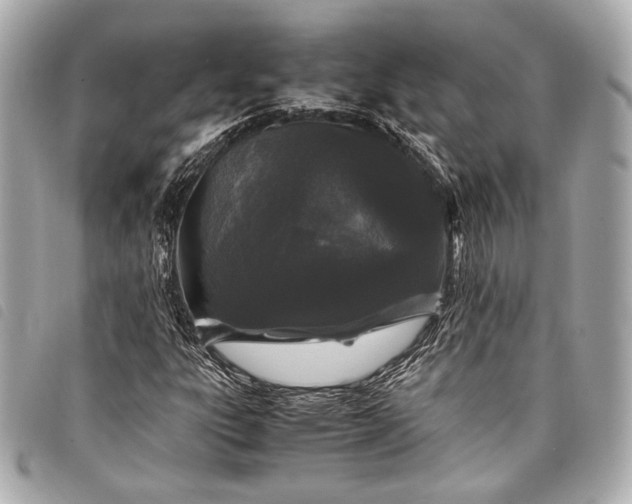 X0000098081303200804181148