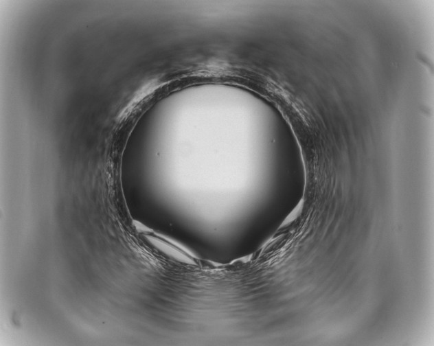 X0000098081304200804181148