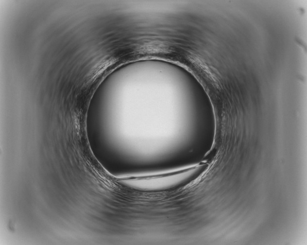 X0000098081305200804181148