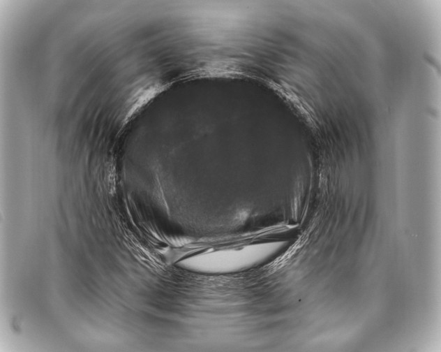 X0000098081306200804181148