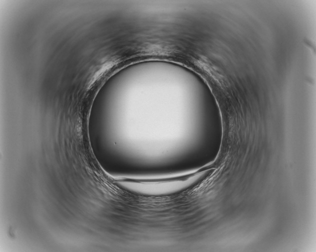 X0000098081307200804181148