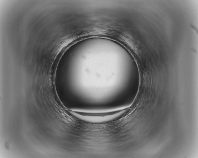 X0000098081308200804181149