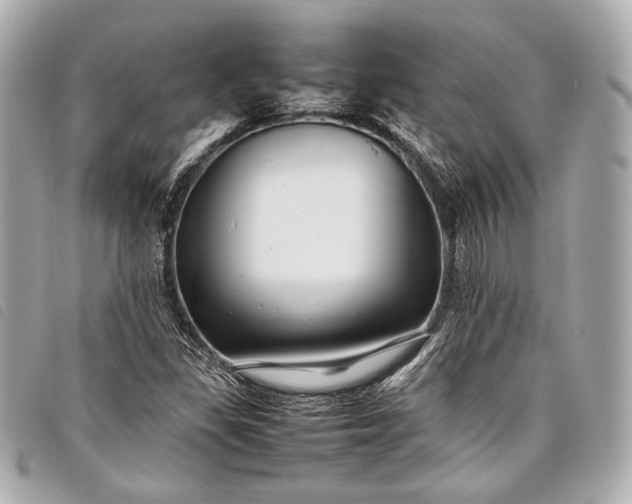 X0000098081309200804181149