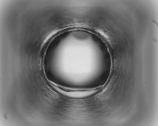 X0000098081310200804181149