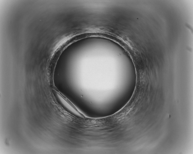 X0000098081311200804181149