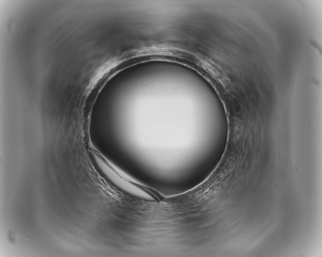 X0000098081312200804181149