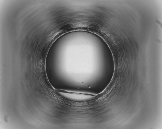 X0000098081313200804181149