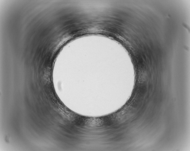 X0000098081314200804181149