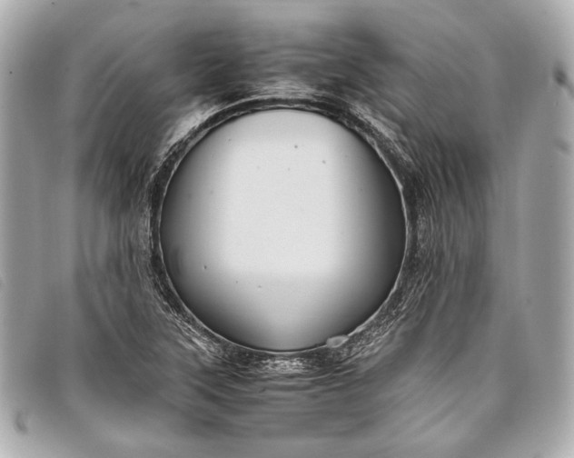 X0000098081315200804181149