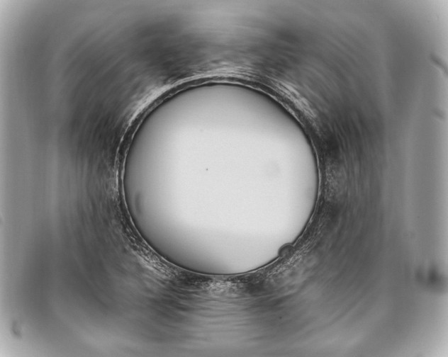 X0000098081316200804181149