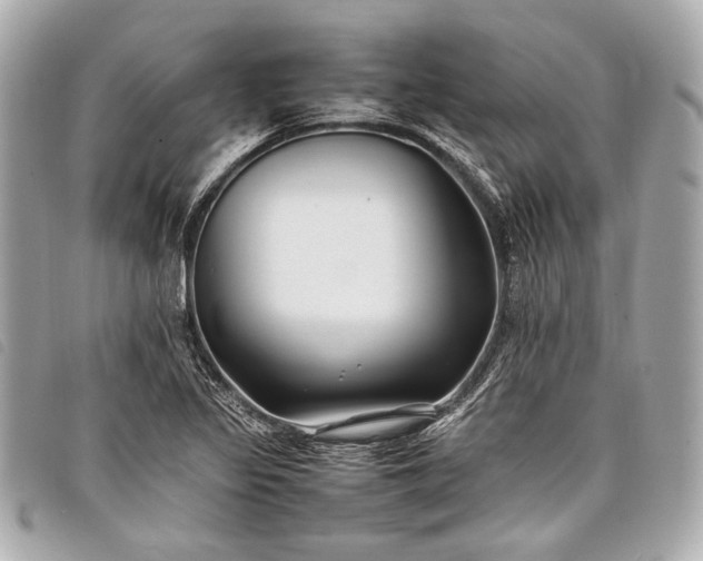 X0000098081317200804181149