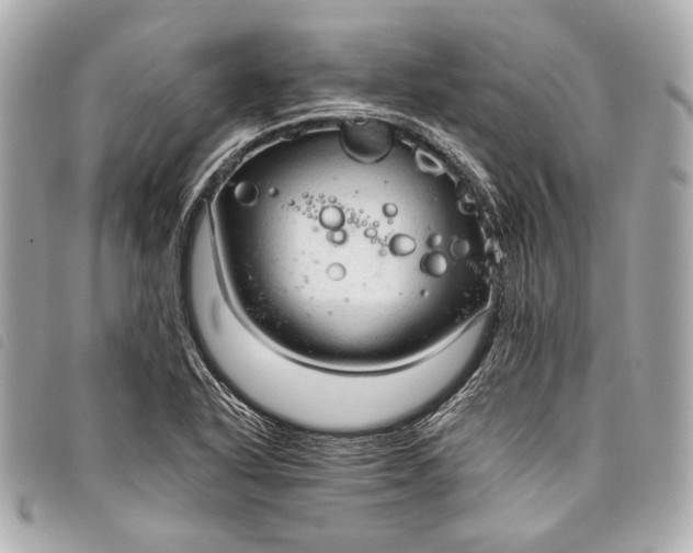 X0000098081318200804181149