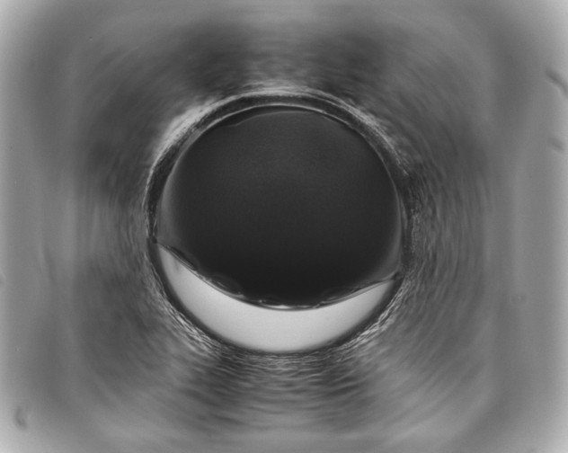 X0000098081319200804181149