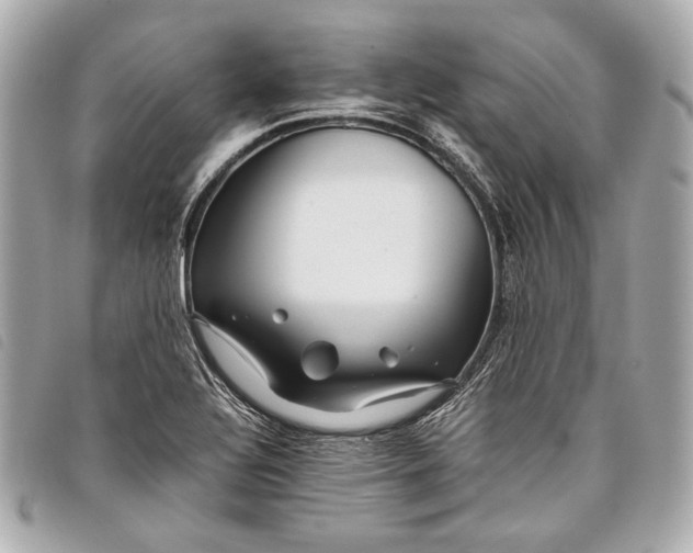 X0000098081320200804181149