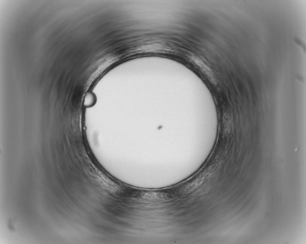 X0000098081322200804181149