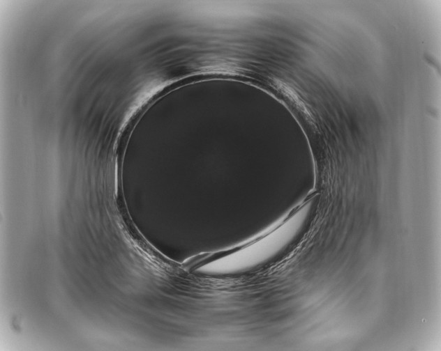 X0000098081323200804181149