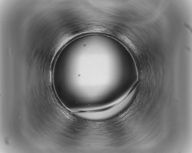 X0000098081324200804181149