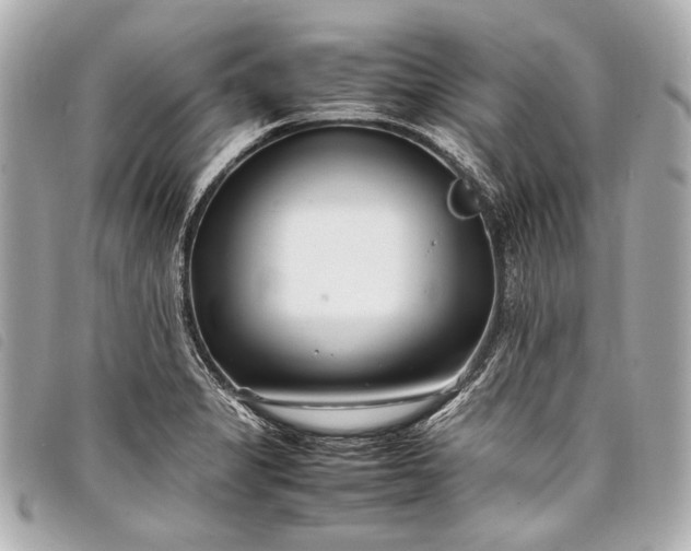 X0000098081325200804181149