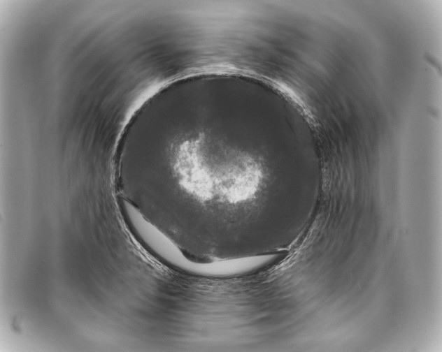 X0000098081326200804181149