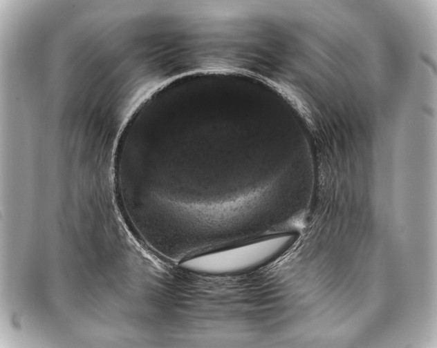 X0000098081327200804181149