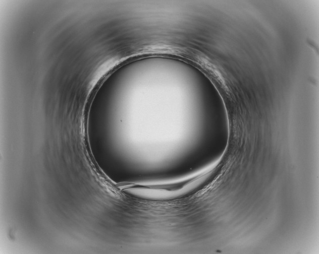 X0000098081328200804181149