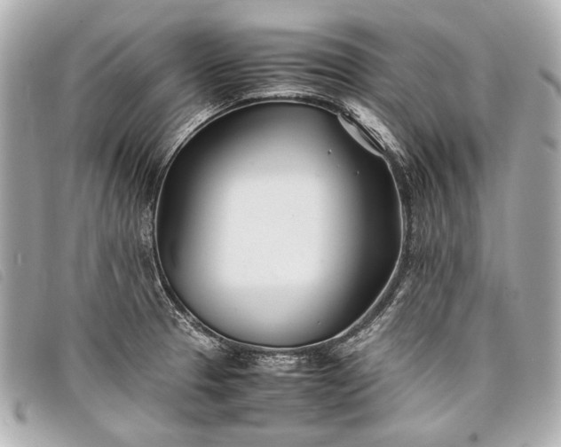 X0000098081329200804181149