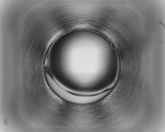 X0000098081330200804181149