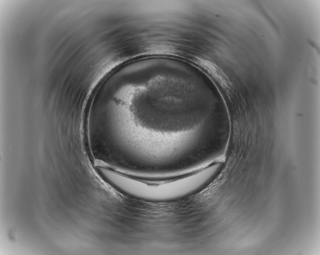 X0000098081331200804181149