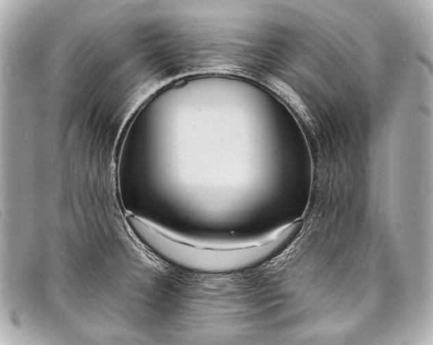 X0000098081332200804181149