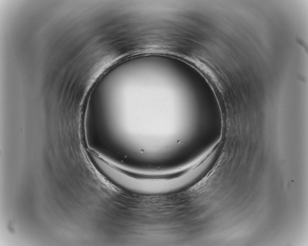 X0000098081333200804181149