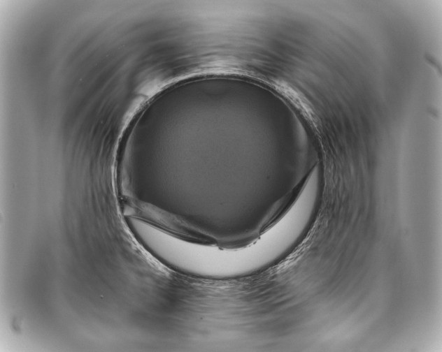 X0000098081334200804181149