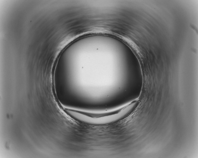 X0000098081335200804181149