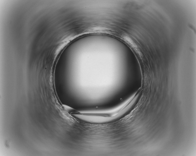 X0000098081336200804181149