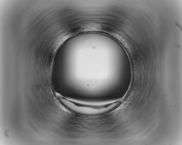 X0000098081337200804181149