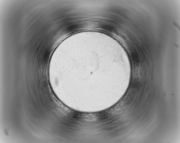 X0000098081338200804181149