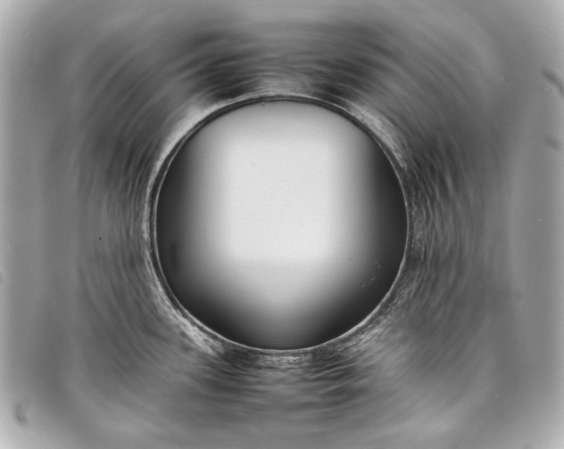 X0000098081339200804181149