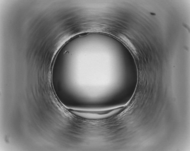 X0000098081340200804181149