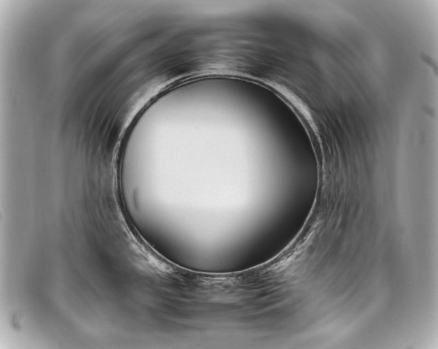 X0000098081341200804181149