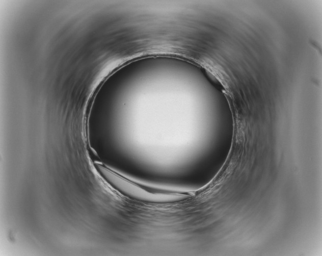 X0000098081342200804181149