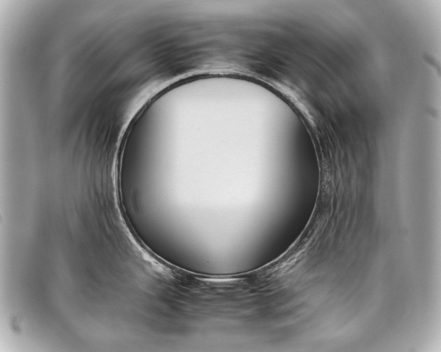 X0000098081343200804181149