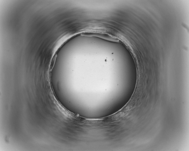 X0000098081344200804181149