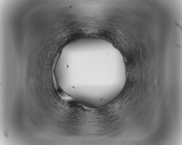 X0000098081345200804181148