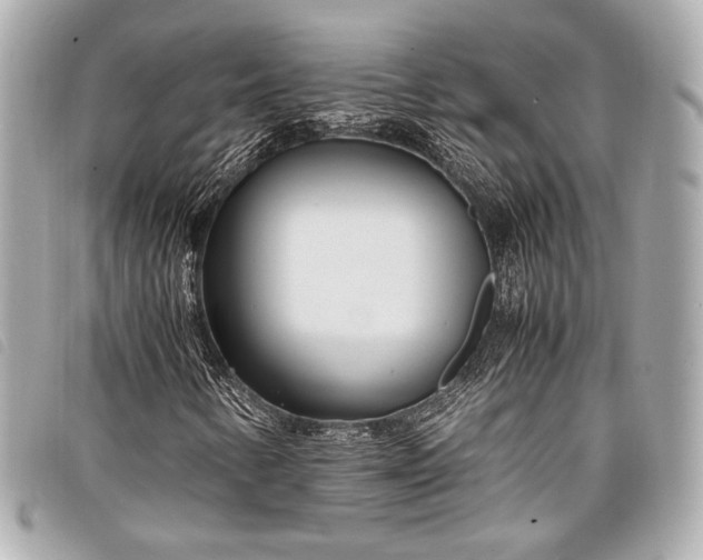 X0000098081346200804181148