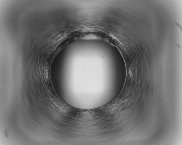 X0000098081348200804181148