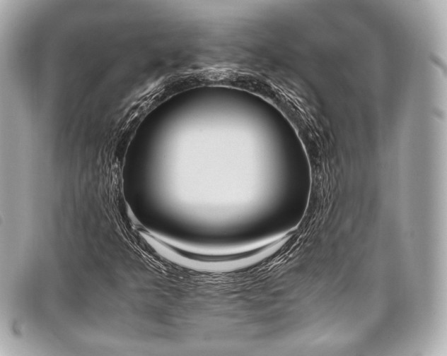 X0000098081349200804181148