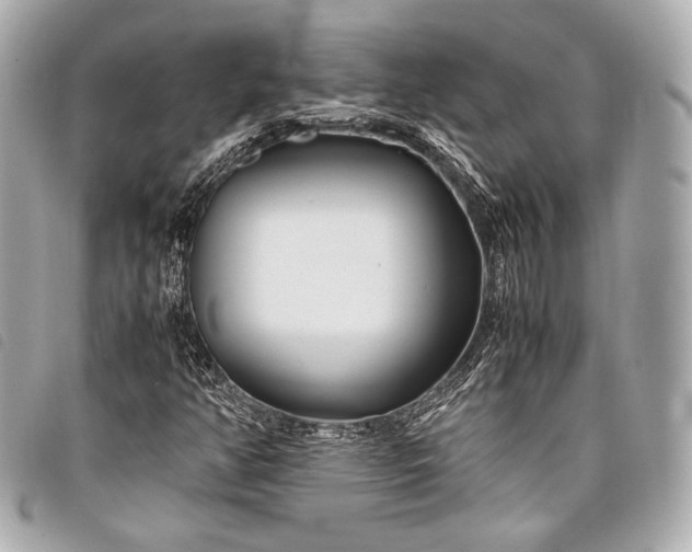 X0000098081350200804181148