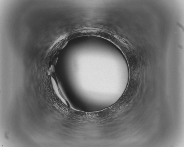 X0000098081351200804181148