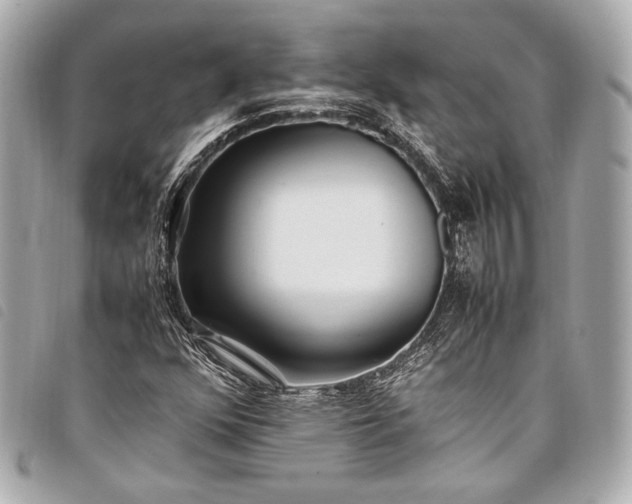 X0000098081352200804181148